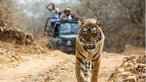 Jim Corbett Jim Corbett